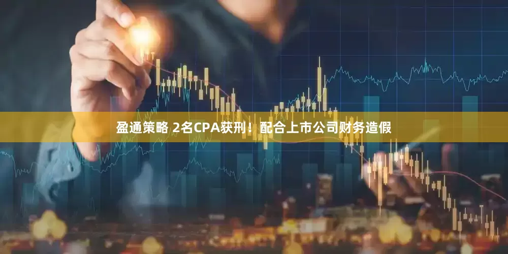 盈通策略 2名CPA获刑！配合上市公司财务造假