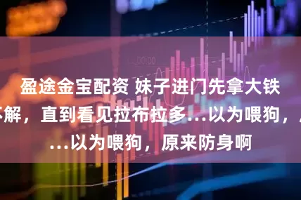 盈途金宝配资 妹子进门先拿大铁盆，网友不解，直到看见拉布拉多…以为喂狗，原来防身啊