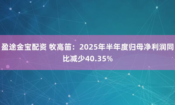 盈途金宝配资 牧高笛：2025年半年度归母净利润同比减少40.35%