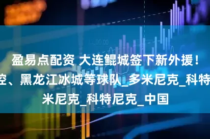 盈易点配资 大连鲲城签下新外援！曾效力北控、黑龙江冰城等球队_多米尼克_科特尼克_中国