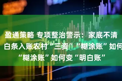 盈通策略 专项整治警示：家底不清、合同不明、白条入账农村“三资”“糊涂账”如何变“明白账”