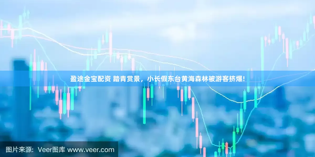 盈途金宝配资 踏青赏景,小长假东台黄海森林被游客挤爆!